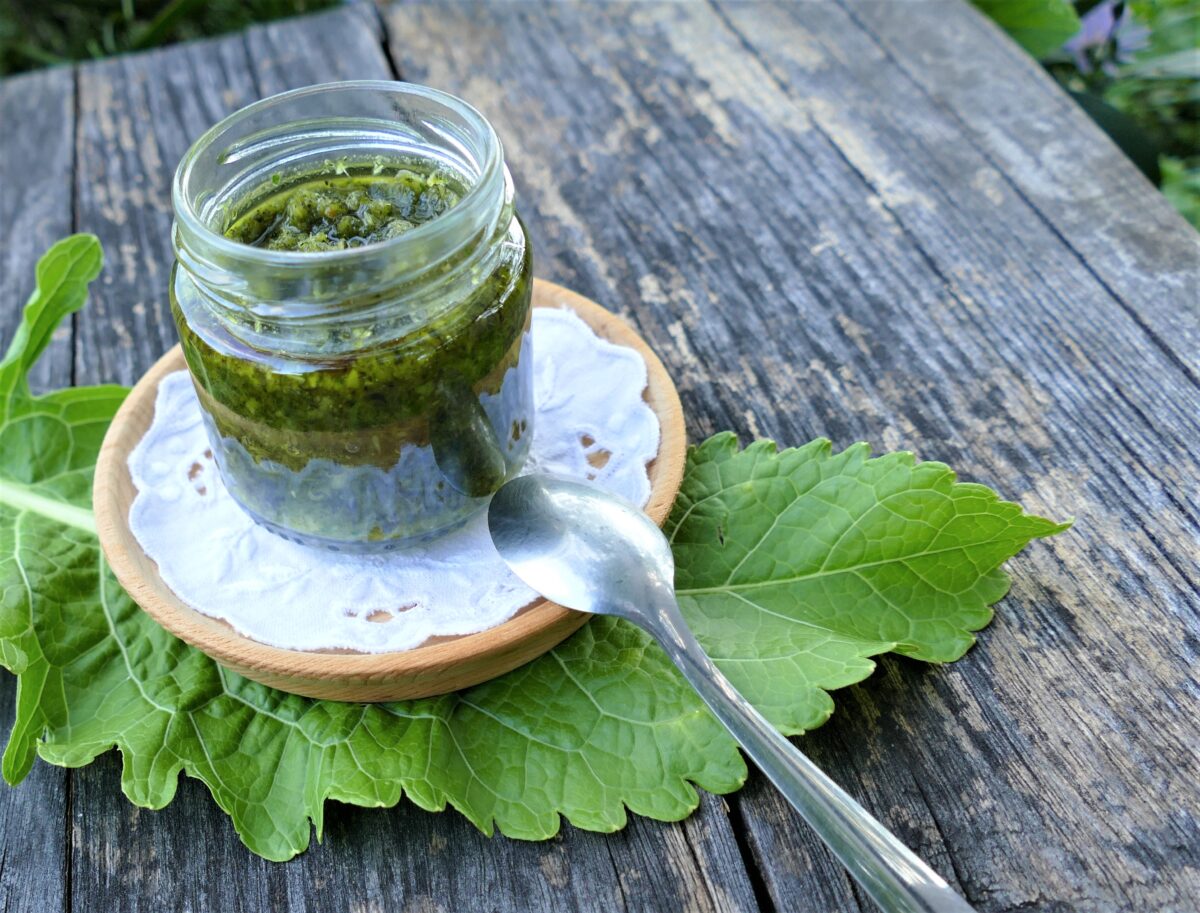 Meerrettich als Heilpflanze Wirkung, Anwendung & Rezepte