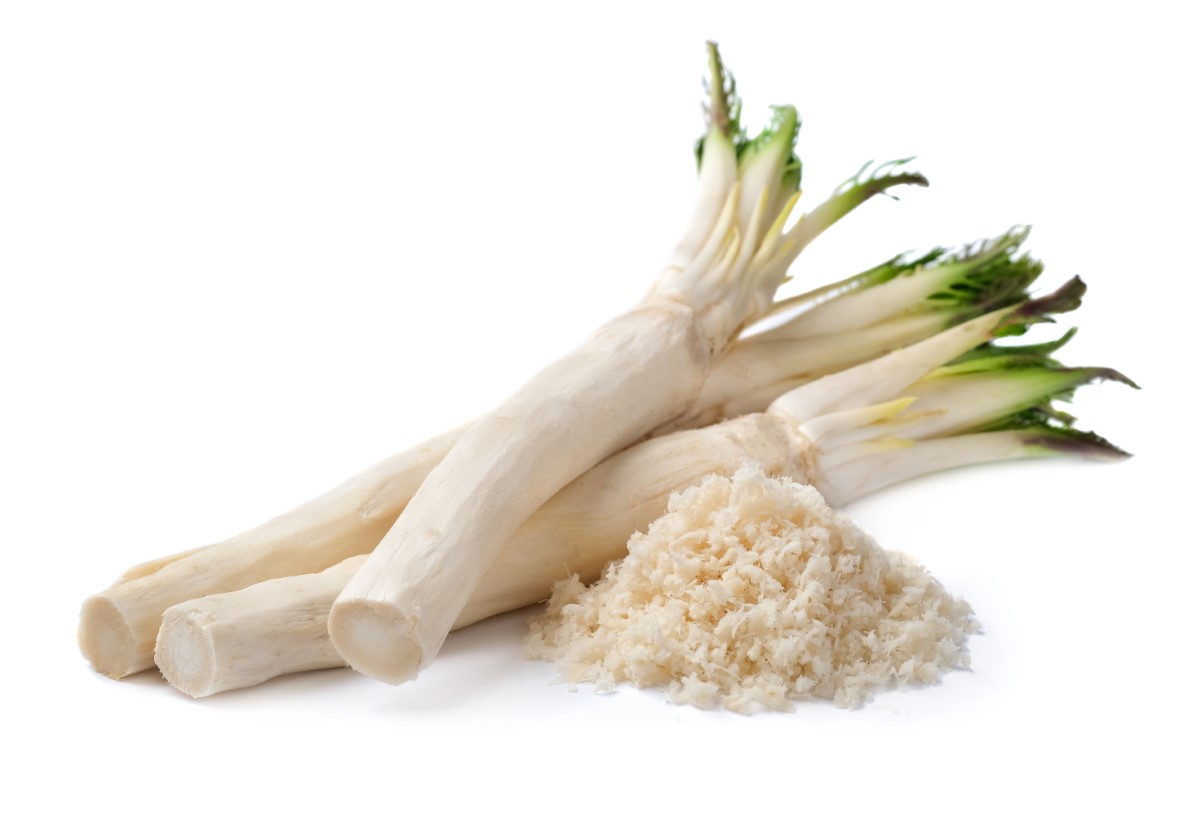 Meerrettich als Heilpflanze Wirkung, Anwendung & Rezepte