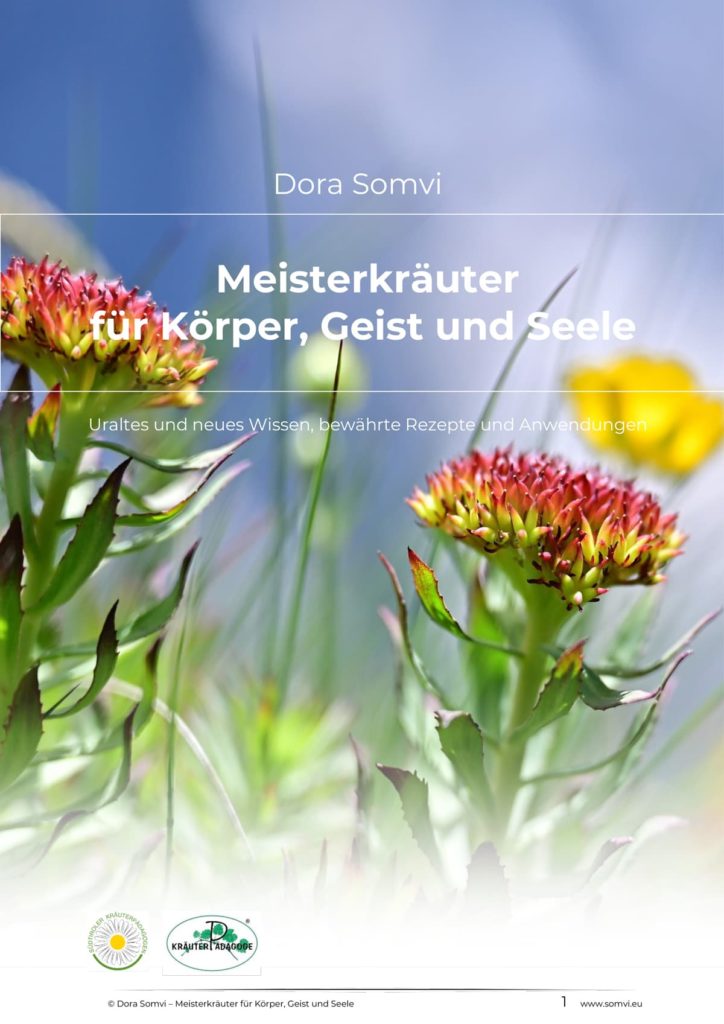 Titelseite Meisterkräuter